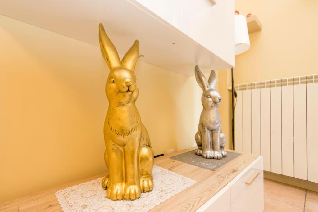 Star Suite, Malpensa - Rho Fiera Milano 15 Min Legnano Zewnętrze zdjęcie